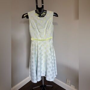 Winter Frost Fit and Flare Polka Dot Dress